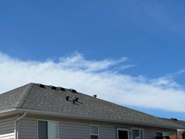 Best Flat Roofing  in Lebanon, IL
